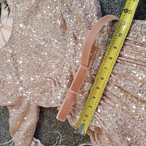 ANTONIO MELANI xNicola Bathie Nicola Sequin Belted Feathered A-Line 0 dress - Picture 11 of 16